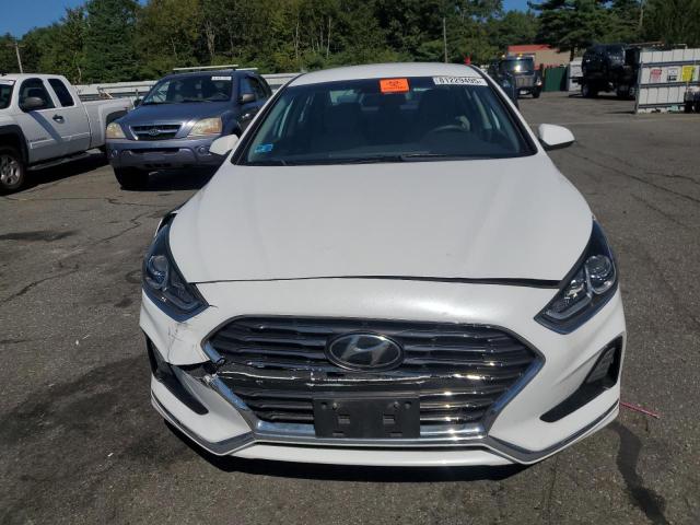 5NPE24AF6KH757033 - 2019 HYUNDAI SONATA SE 白色 照片 5