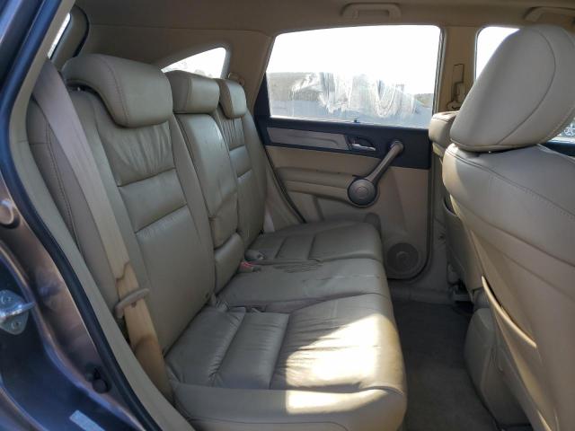 5J6RE38799L021009 - 2009 HONDA CR-V EXL GRAY photo 10