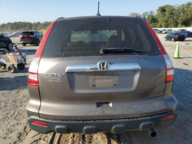 5J6RE38799L021009 - 2009 HONDA CR-V EXL GRAY photo 6