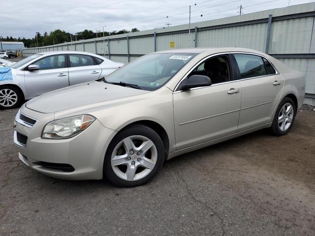 2010 CHEVROLET MALIBU LS, 