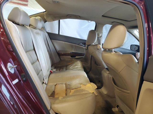 1HGCP36859A028361 - 2009 HONDA ACCORD EXL BURGUNDY photo 10