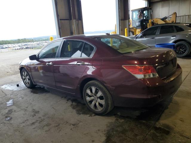 1HGCP36859A028361 - 2009 HONDA ACCORD EXL BURGUNDY photo 2