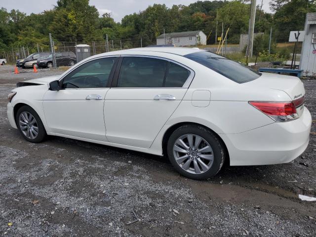 1HGCP3F83BA032494 - 2011 HONDA ACCORD EXL Սպիտակ լուսանկար 2