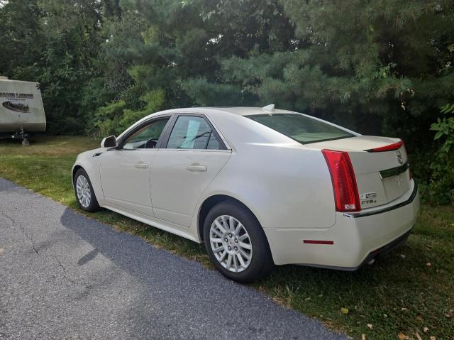 1G6DG5E54D0116616 - 2013 CADILLAC CTS LUXURY COLLECTION Ақ фото 3