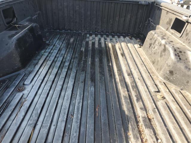 5TEPX42N78Z563763 - 2008 TOYOTA TACOMA GOLD photo 10