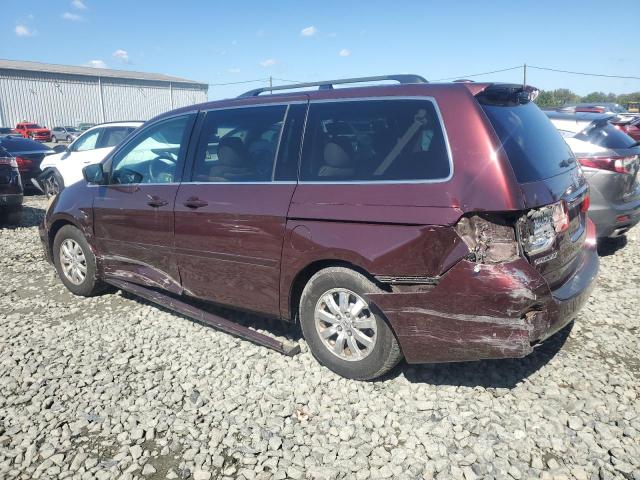 5FNRL3H6XAB070083 - 2010 HONDA ODYSSEY EXL ბურგუნდია ფოტო 2