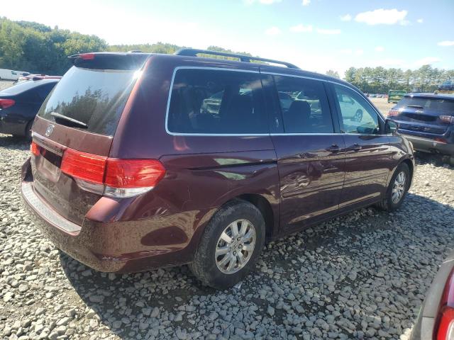 5FNRL3H6XAB070083 - 2010 HONDA ODYSSEY EXL ბურგუნდია ფოტო 3