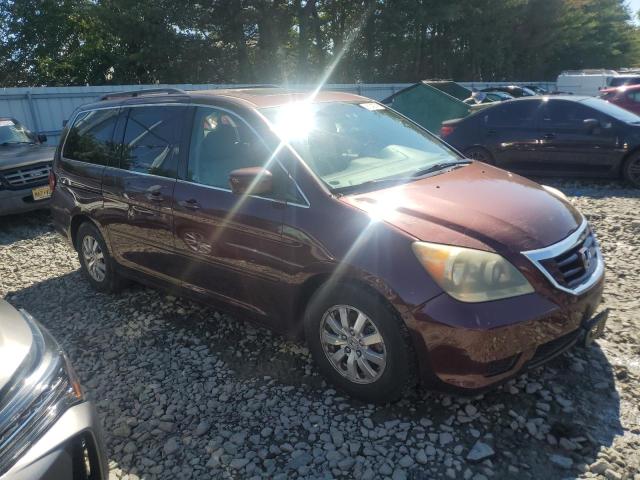5FNRL3H6XAB070083 - 2010 HONDA ODYSSEY EXL ბურგუნდია ფოტო 4