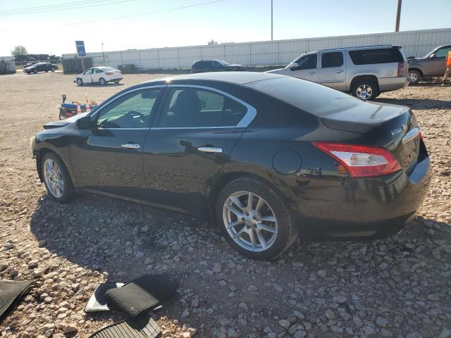 1N4AA5APXBC811919 - 2011 NISSAN MAXIMA S BLACK photo 2
