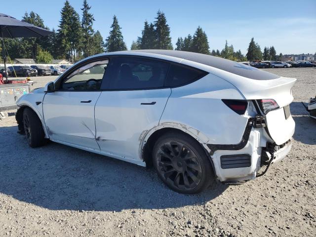 5YJYGDEE6MF140037 - 2021 TESLA MODEL Y WHITE photo 2