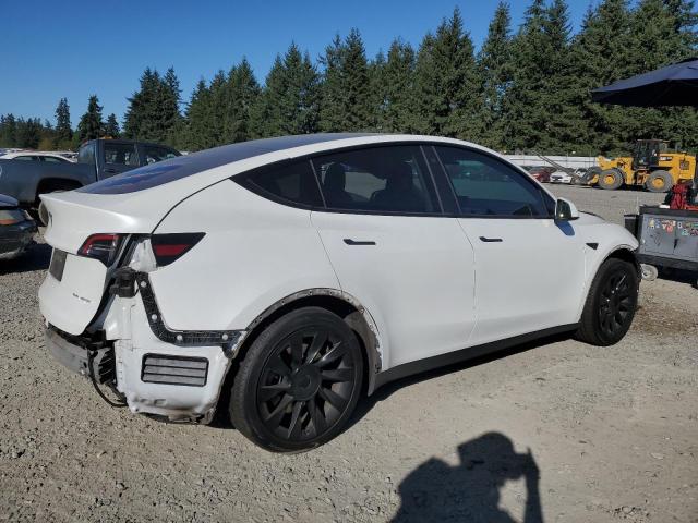 5YJYGDEE6MF140037 - 2021 TESLA MODEL Y WHITE photo 3