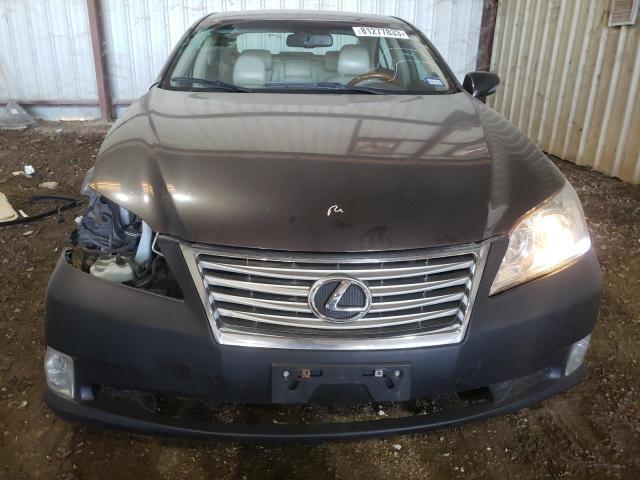 JTHBK1EG8A2377369 - 2010 LEXUS ES 350 BLACK photo 5