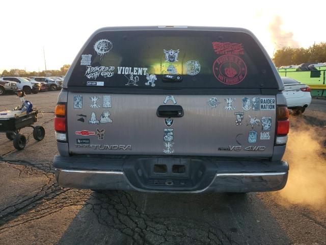 5TBBT44112S239799 - 2002 TOYOTA TUNDRA ACCESS CAB Մոխրագույն լուսանկար 6