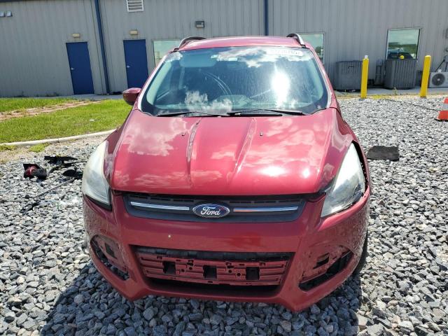 1FMCU0GXXGUC73921 - 2016 FORD ESCAPE SE 勃艮第红 照片 5