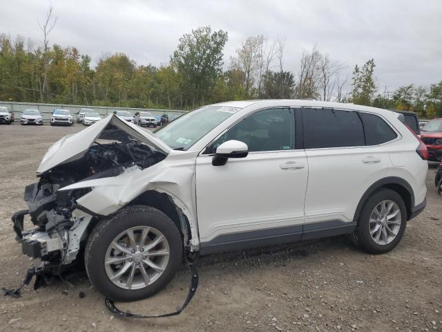 2025 HONDA CR-V EXL, 