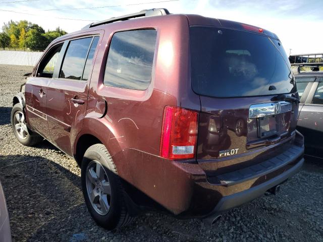 5FNYF4H59BB037240 - 2011 HONDA PILOT EXL ბურგუნდია ფოტო 2