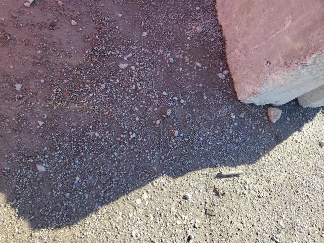 1G1JA5SH9F4145498 - 2015 CHEVROLET SONIC LS RED photo 13