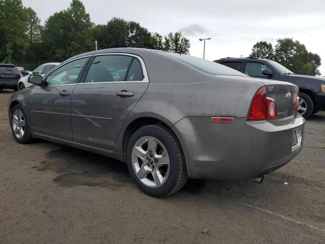1G1ZC5EB1A4148389 - 2010 CHEVROLET MALIBU 1LT TAN photo 2