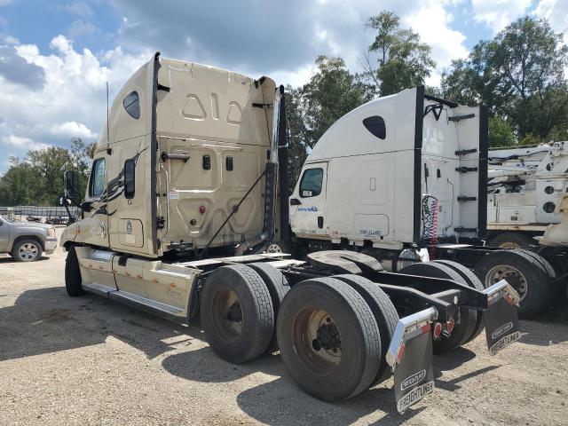 1FUJGLDR8DLBY2296 - 2013 FREIGHTLINER CASCADIA BEIGE photo 3