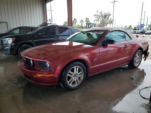 1ZVFT85H565142951 - 2006 FORD MUSTANG GT RED photo 1