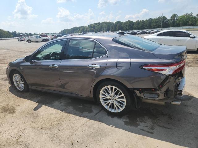 4T1BZ1HK4KU031446 - 2019 TOYOTA CAMRY XSE Grau Foto 2