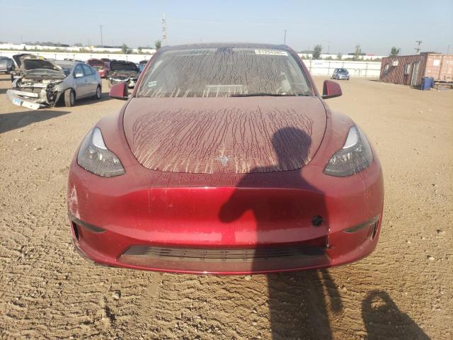 7SAYGDEE5RA255655 - 2024 TESLA MODEL Y Կարմիր լուսանկար 5