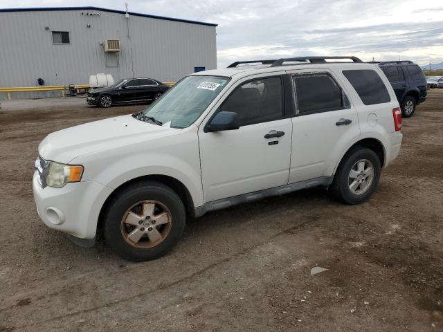 2009 FORD ESCAPE XLT, 