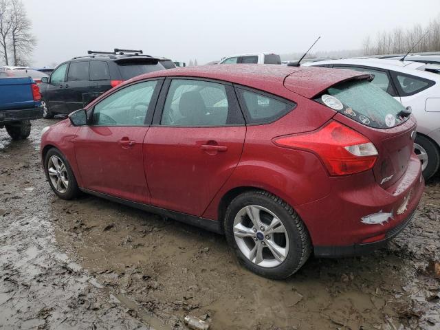 1FADP3K28DL301719 - 2013 FORD FOCUS SE RED photo 2