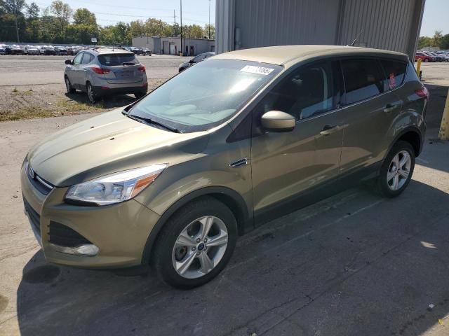 2014 FORD ESCAPE SE, 