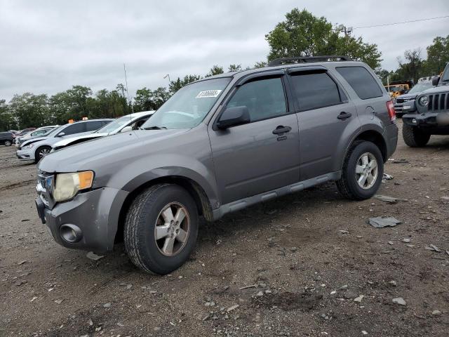 2011 FORD ESCAPE XLT, 