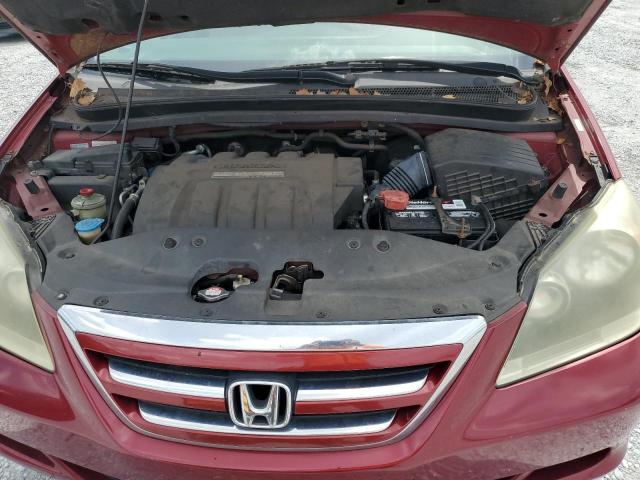5FNRL38656B432585 - 2006 HONDA ODYSSEY EXL BURGUNDY photo 12