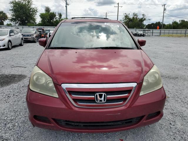 5FNRL38656B432585 - 2006 HONDA ODYSSEY EXL BURGUNDY photo 5