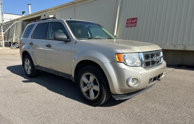 2012 FORD ESCAPE XLT, 