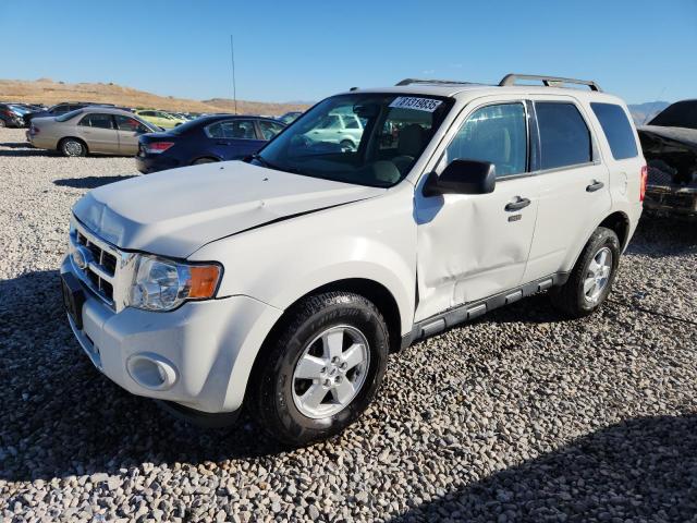 2010 FORD ESCAPE XLT, 