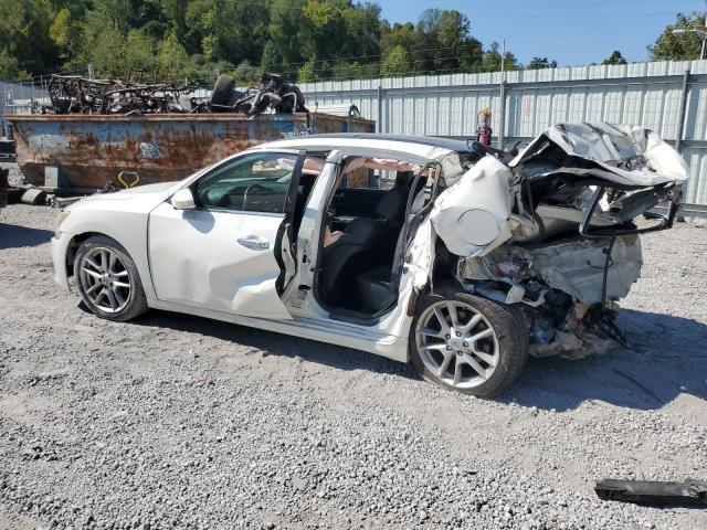 1N4AA51E99C804274 - 2009 NISSAN MAXIMA S 白色 照片 2