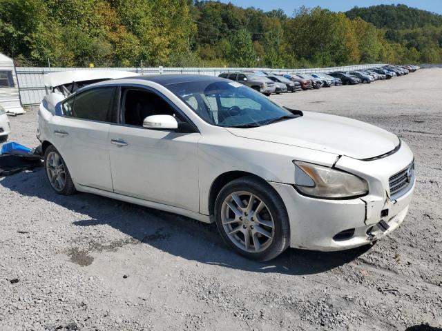1N4AA51E99C804274 - 2009 NISSAN MAXIMA S 白色 照片 4