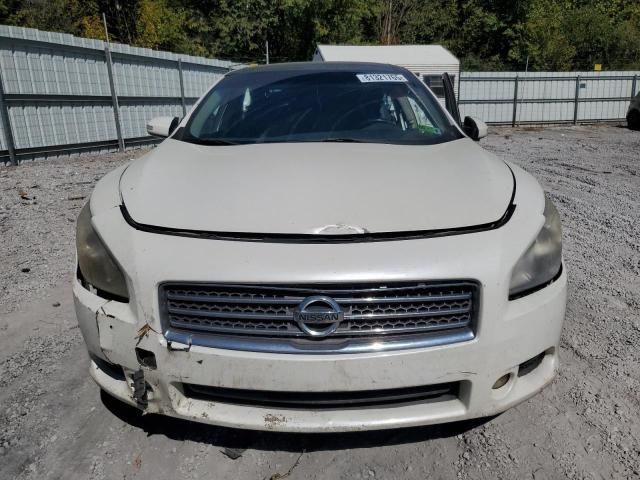 1N4AA51E99C804274 - 2009 NISSAN MAXIMA S 白色 照片 5