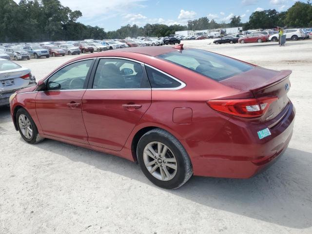 5NPE24AF7GH272259 - 2016 HYUNDAI SONATA SE 红色 照片 2