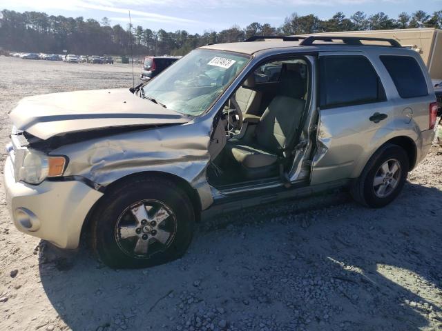 2010 FORD ESCAPE XLT, 