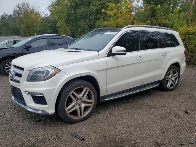2013 MERCEDES-BENZ GL 350 BLUETEC, null