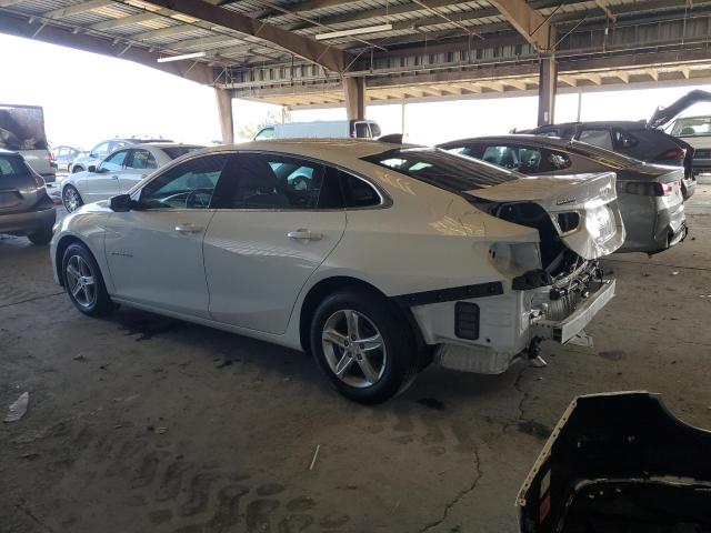 1G1ZB5ST0RF105162 - 2024 CHEVROLET MALIBU LS Սպիտակ լուսանկար 2