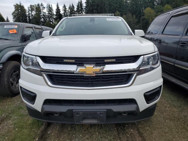 1GCHSBEN2K1256991 - 2019 CHEVROLET COLORADO 白色 照片 5