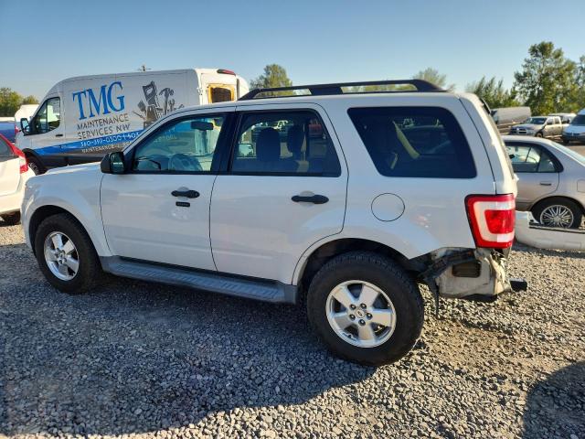 1FMCU0D77BKA44671 - 2011 FORD ESCAPE XLT 白色 照片 2