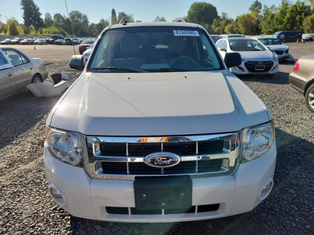 1FMCU0D77BKA44671 - 2011 FORD ESCAPE XLT 白色 照片 5