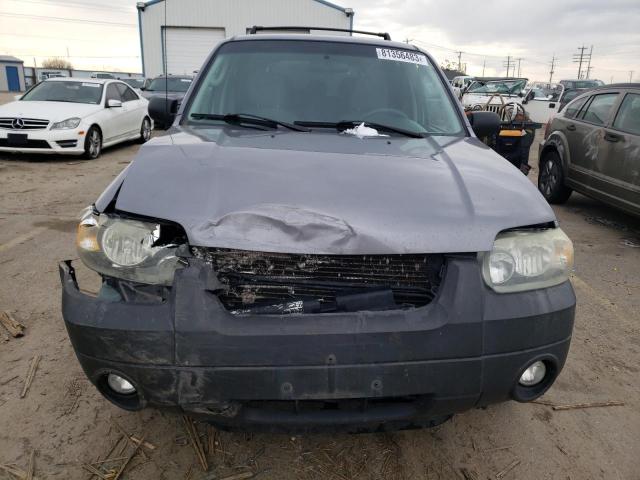 1FMCU93157KB45281 - 2007 FORD ESCAPE XLT GRAY photo 5