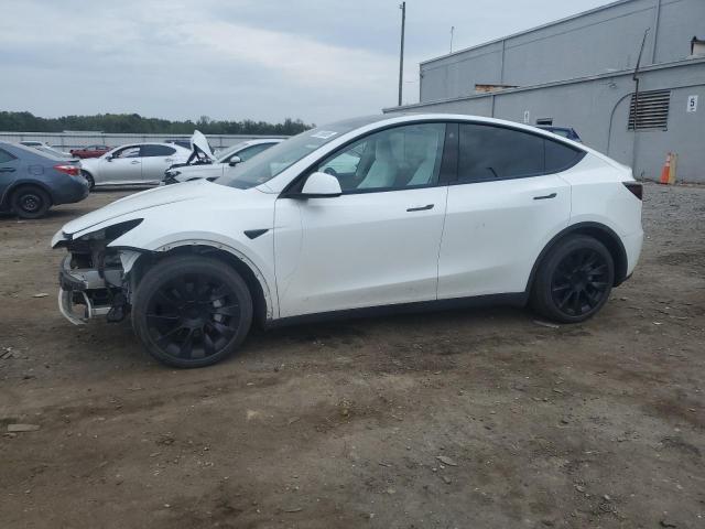 2023 TESLA MODEL Y, 