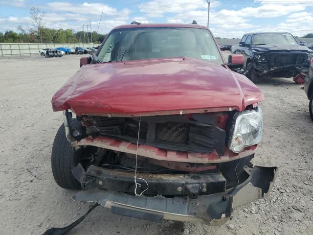 1FMEU74E29UA24441 - 2009 FORD EXPLORER EDDIE BAUER წითელი ფოტო 5