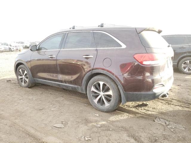 5XYPH4A52GG008128 - 2016 KIA SORENTO EX BROWN photo 2