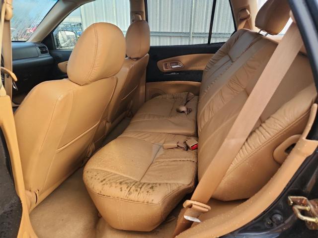 4S2DF58X824610193 - 2002 ISUZU AXIOM XS Gri fotoğraf 10