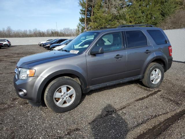 2009 FORD ESCAPE XLT, 